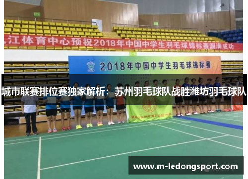 城市联赛排位赛独家解析：苏州羽毛球队战胜潍坊羽毛球队